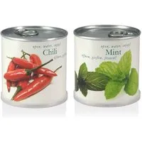 MacFlowers Blumen in der Dose Geschenk Set - Chili - Minze von Macflowers – Produktbild 1 von 1