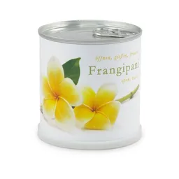 MacFlowers MacFlowers Blumen in der Dose Frangipani - Plumier – Produktbild 1 von 1