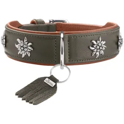 Dog Sport Dog Sport HUNTER Hundehalsband münchen grün S-M – Produktbild 1 von 1