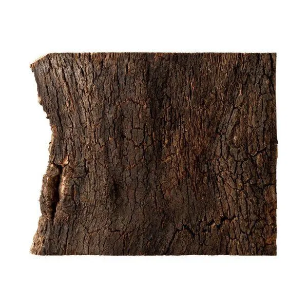 Kork-Deko Kork-Deko 177,92 EUR/m² Korkrinde als Rohware – unbehandelt & unbearbeitet 30 x 40 x 3 cm – Produktbild 2 von 4