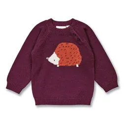 Sense Organics Sense Organics Baby Strickpullover, Modell NAVIN – Produktbild 1 von 1