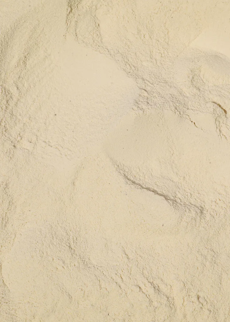 KoRo Vegan Protein Powder Creamy Vanilla 300 g – Produktbild 2 von 5