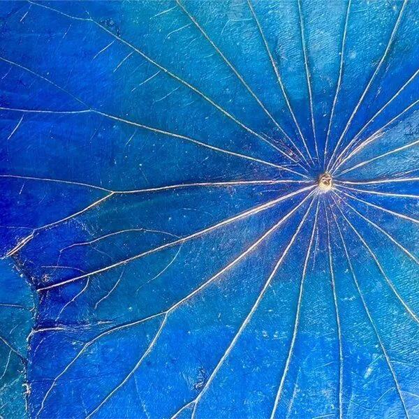 Der Lindwurm Der Lindwurm Lotuswandbild ca. 48x 48cm, Blau, – Produktbild 3 von 3