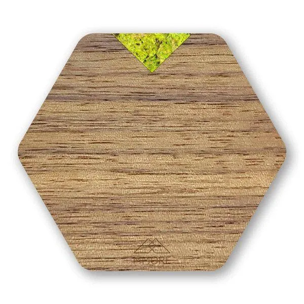 MMore MMore Untersetzer aus Holz - Amerikanischer Nussbaum, Eichenholz und organische Materialien / 4er-Set, Waldmoos, – Produktbild 2 von 5