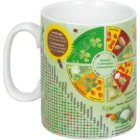 Könitz Könitz Tasse 'Wissensbecher Gemüsegarten' – Produktbild 1 von 1