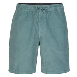 Patagonia M'S CORDUROY VOLLEY SHORTS – Produktbild 1 von 1