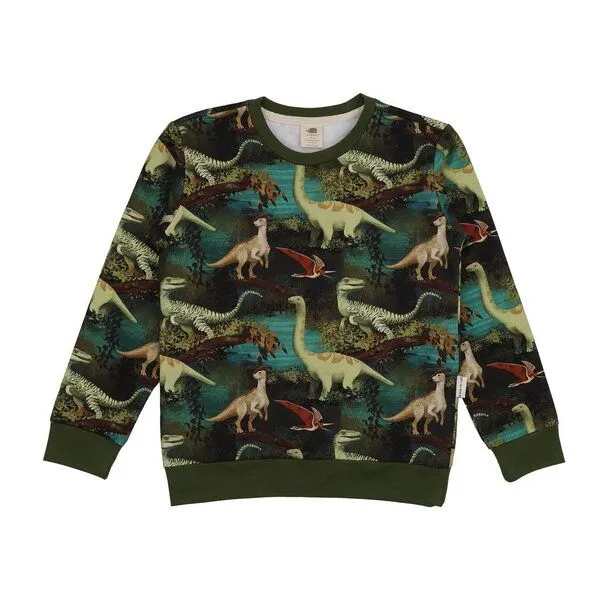 Walkiddy Walkiddy Dinasour Jungle-SweatshirtBio-Baumwolle aus 95% Baumwolle -green- GOTS-Zertifiziert, Green, – Produktbild 1 von 2
