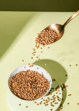 KoRo Braune Bio Linsen 2 kg – Produktbild 1 von 1