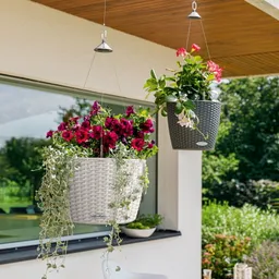 Lechuza® Lechuza® 'Nido Cottage 35', weiß, ca. Ø 35 x H 23 cm – Produktbild 1 von 1