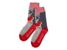 Fräulein Prusselise Kinder Socken Paradiesvogel Gr.19-22 – Produktbild 1 von 1