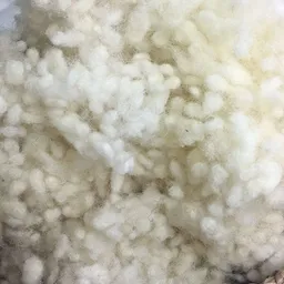 Pat und Patty Pat und Patty Schurwollkügelchen/Wollkügelchen Nachfüllmaterial aus 100% Schurwolle kbT, naturweiss, 500 g / 1000 g, spielzeugtauglich DIN EN 71-3 – Produktbild 1 von 1