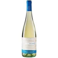 San Vicario Moscato Falesia Puglia Cantine Losito IGP 2017 (Auslaufartikel) – Produktbild 1 von 1