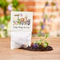 Die Stadtgärtner Die Stadtgärtner 5 bunte Blumenmurmeln im Tütchen mit Wildblumensaatgut | Geschenkidee zur Einschulung, Schulanfang, für Schultüte | "Hipp Hipp Hurra!" – Produktbild 1 von 1