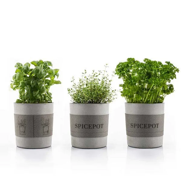 URBANATURE URBANATURE Beton Übertopf SPICEPOT – Produktbild 1 von 4