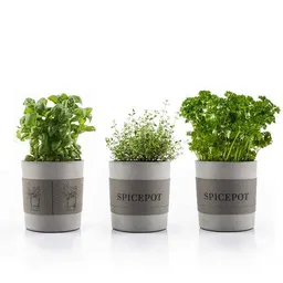 URBANATURE URBANATURE Beton Übertopf SPICEPOT – Produktbild 1 von 1