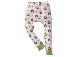 HANS NATUR Kinder Unterhose lang Bio-Baumwolle Apfel Gr. 86/92 – Produktbild 1 von 1