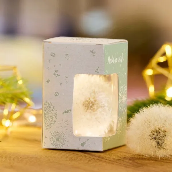 Die Stadtgärtner Die Stadtgärtner Wunscherfüller – Geld kreativ verpacken I Geschenkidee für Mama, Frau, Freundin zu Weihnachten und Geburtstag, Rosa, – Produktbild 2 von 3
