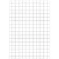 Staufen Staufen Schulheft Style DIN A5 kariert Lineatur 5 16 Bl. – Produktbild 2 von 2