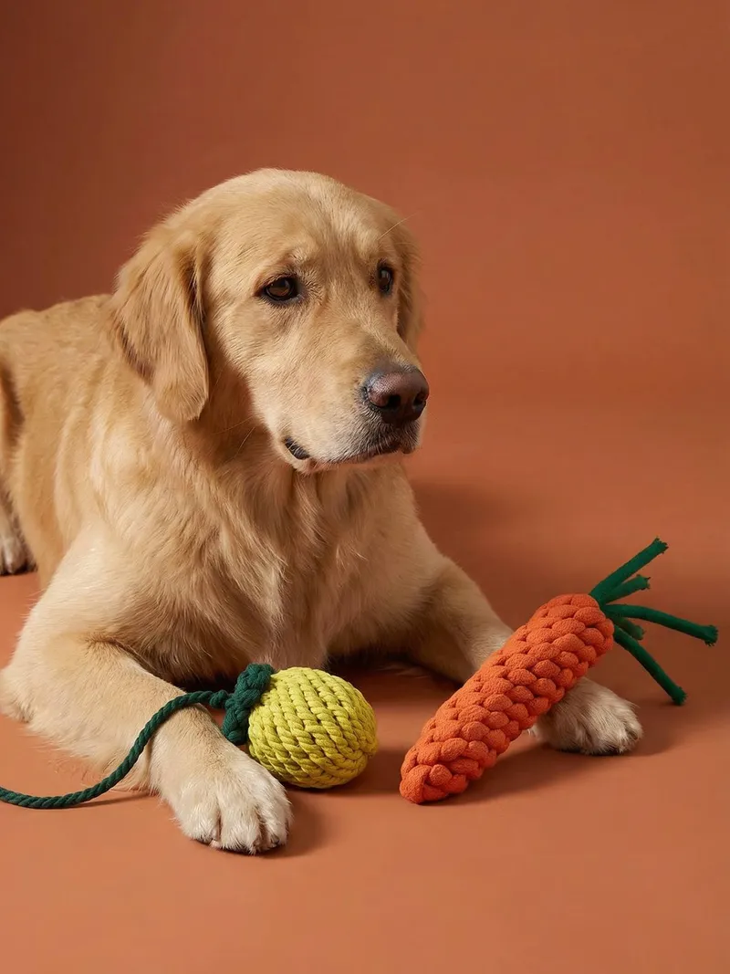 Vertbaudet Hundespielzeug-Set aus Seil, Gelb, – Produktbild 2 von 4