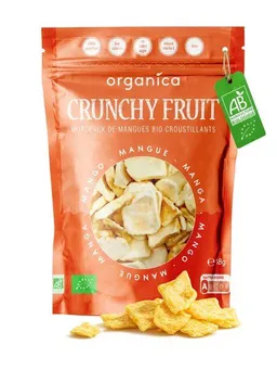 ORGANICA ORGANICA Gefriergetrocknete Bio-Mango – Produktbild 1 von 1
