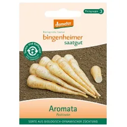 Bingenheimer Saatgut Pastinaken Aromata – Produktbild 1 von 1