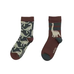 Walkiddy Baby Socken Bio-Baumwolle mit Dinosaurier-Muster in Braun, weich, dehnbar, GOTS-zertifiziert, sanft zu empfindlicher Babyhaut und ideal für jeden Tag von Walkiddy – Produktbild 1 von 1
