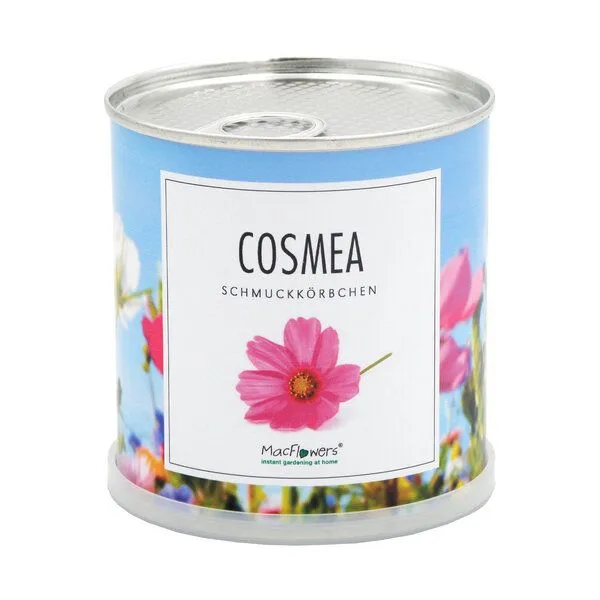 MacFlowers MacFlowers Echte Schmuckkörbchen - Cosmea Mix in der Dose – Produktbild 1 von 2