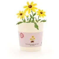 Die Stadtgärtner Die Stadtgärtner Schokoblumen-Anzuchtset als besonderes Geschenk | Nachhaltige Geschenkidee zum Geburtstags, für Erzieher, als Mitbringsel für Naschkatzen – Produktbild 1 von 1