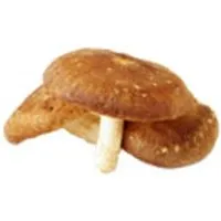 Deutschland Shiitake – Produktbild 1 von 1