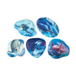 Ergobag Ergobag Kletties Kontur Kletties Set (5-tlg.) – Produktbild 1 von 1
