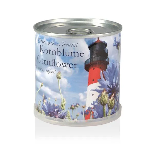 MacFlowers MacFlowers Pflanzen in der Dose, Kornblume, – Produktbild 1 von 4