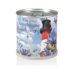 MacFlowers MacFlowers Pflanzen in der Dose - Kornblume – Produktbild 1 von 1