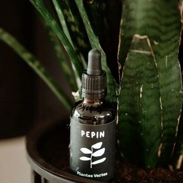 Pepin Pepin Pflanzennahrung - Zimmerpflanzen – Produktbild 3 von 4