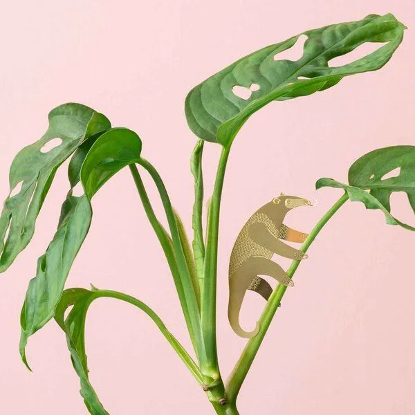 another studio another studio Plant Animal - Design Pflanzendekoration - Figuren aus Messing, Ameisenbär, – Produktbild 1 von 4