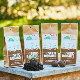Die Stadtgärtner Die Stadtgärtner Set mit 4 Sorten Samenbomen | Tolles Geschenk für Gartenliehaber:innen – Produktbild 1 von 1