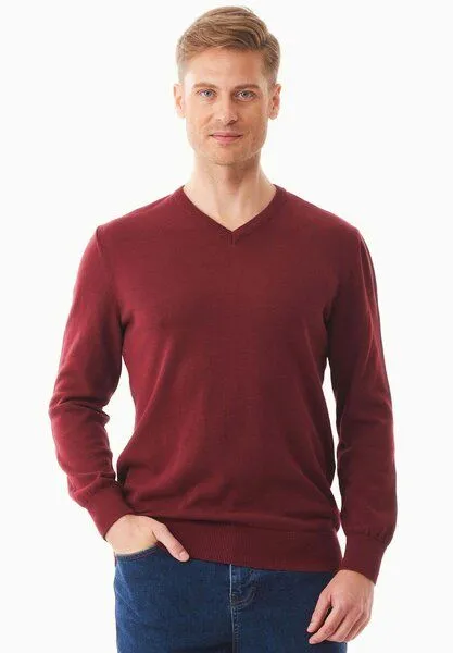 ORGANICATION ORGANICATION Pullover aus Bio-Baumwolle mit V-Ausschnitt, Syrah red, – Produktbild 1 von 4