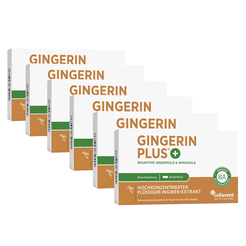 Cellavent Healthcare Bioaktiver Ingwer-Extrakt - Gingerin PLUS 6 Monate – Produktbild 2 von 2