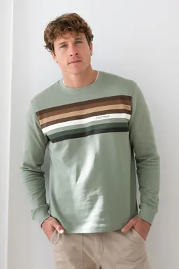 TWOTHIRDS TWOTHIRDS Herren vegan Sweatshirt Mouli Hellgrün – Produktbild 1 von 1