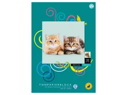 Tonpapierblock "Edition Dürer" geleimt DIN A3 10 Blatt 130 g/m² – Produktbild 1 von 1