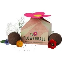Blumensamen 'Flowerbomb Blumenwiese' inkl. 1-4-farbigem Aufdruck – Produktbild 1 von 1