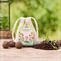 Die Stadtgärtner Die Stadtgärtner Sonnenblumen I Samenbomben mit Sonnenblumen I Seedbombs I Geschenk für den Garten – Produktbild 1 von 1