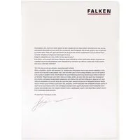 Falken FALKEN Aktensichthüllen genarbt, DIN A4, 80µ, 100 Stk. – Produktbild 1 von 1