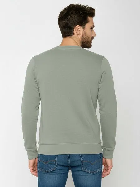 GreenBomb GREENBOMB Basic Sweatshirt Wild, Moos mint, – Produktbild 3 von 3