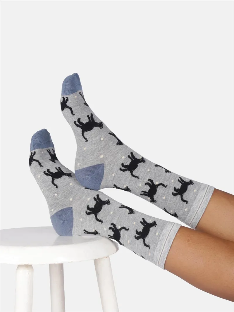Thought Socken Modell: Cats & Dogs, Grey marl, – Produktbild 1 von 1