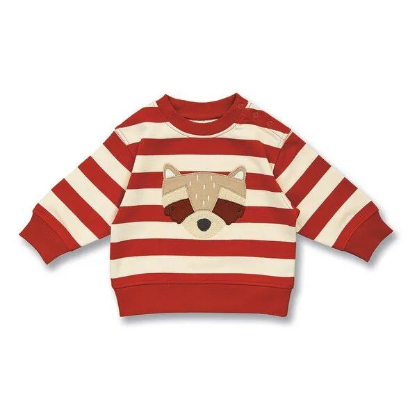 Sense Organics Sense Organics Baby Sweatshirt, Modell SIAM, Terrakotta geringelt mit waschbär, – Produktbild 1 von 4