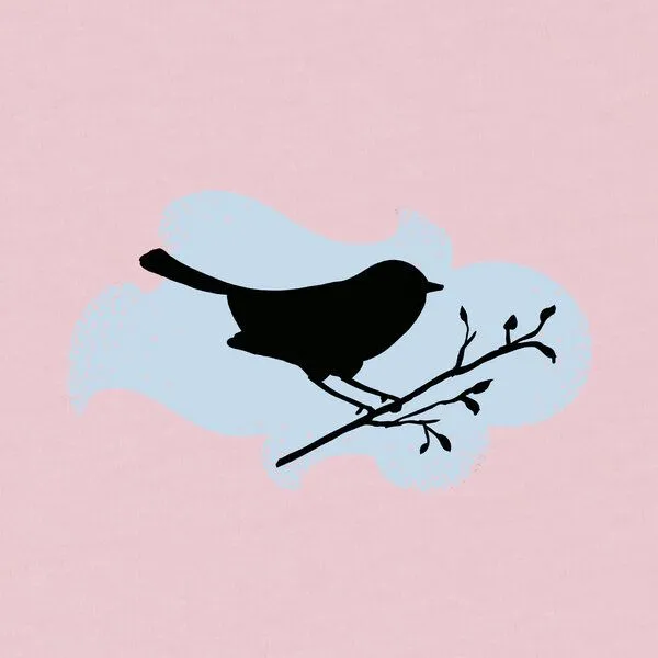 Spangeltangel Spangeltangel Damenshirt "Vogel", T-Shirt, gedrucktes Vogelmotiv, für Frauen, Biobaumwolle, Rosa, – Produktbild 2 von 3