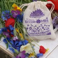 Die Stadtgärtner Die Stadtgärtner 8 Seedbombs "Schmetterlingswiese" im Mini-Jutebeutel – Produktbild 1 von 1