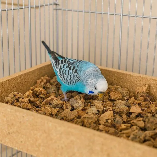 Kork-Deko Kork-Deko Wühlkiste aus Kork für Vögel mit oder ohne Granulat – Produktbild 2 von 5