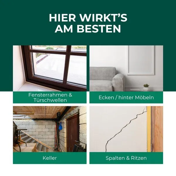 Silberkraft Silberkraft Spinnenspray 500 ml inkl. E-Book – Produktbild 3 von 4