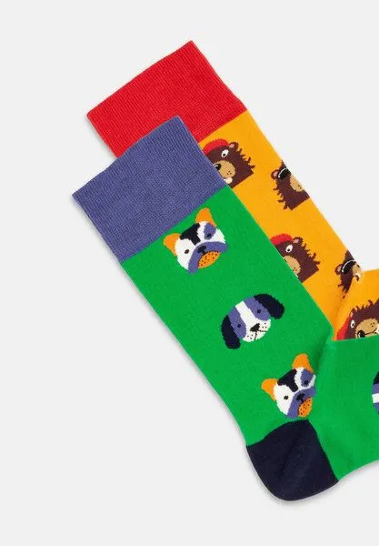 DillySocks DillySocks Socken „Dog Vs Biever“, Mehrfarbig, – Produktbild 2 von 4